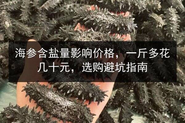 海参含盐量影响价格,一斤多花几十元,选购避坑指南