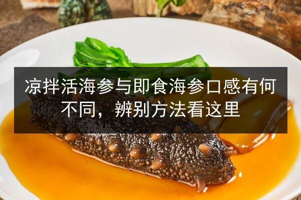 凉拌活海参与即食海参口感有何不同,辨别方法看这里