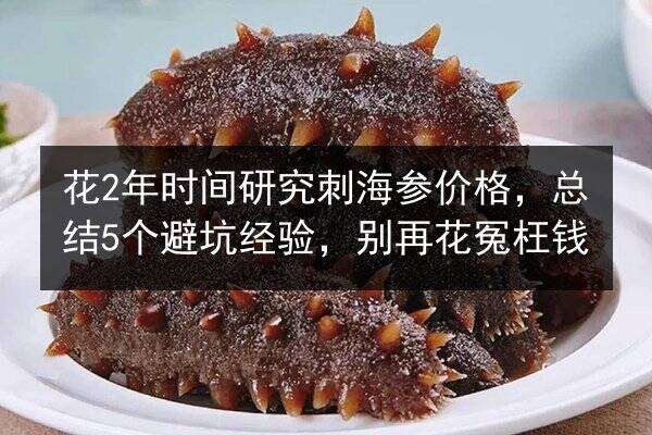 花2年时间研究刺海参价格,总结5个避坑经验,别再花冤枉钱