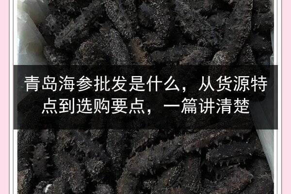 青岛海参批发是什么，从货源特点到选购要点，一篇讲清楚