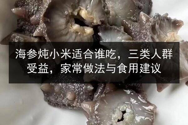 海参炖小米适合谁吃，三类人群受益，家常做法与食用建议