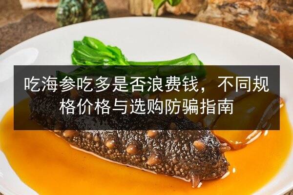 吃海参吃多是否浪费钱,不同规格价格与选购防骗指南