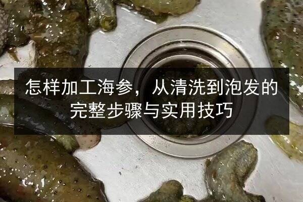 怎样加工海参，从清洗到泡发的完整步骤与实用技巧