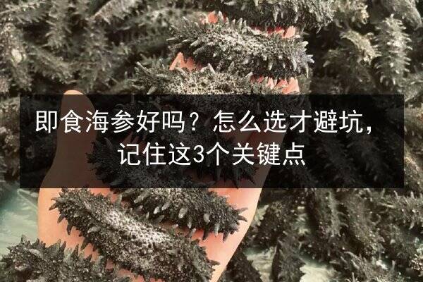 即食海参好吗?怎么选才避坑,记住这3个关键点