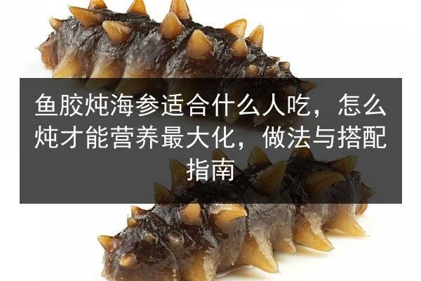 鱼胶炖海参适合什么人吃,怎么炖才能营养最大化,做法与搭配指南
