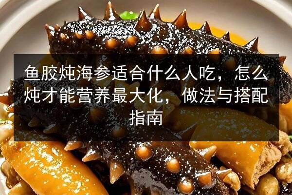 鱼胶炖海参适合什么人吃,怎么炖才能营养最大化,做法与搭配指南