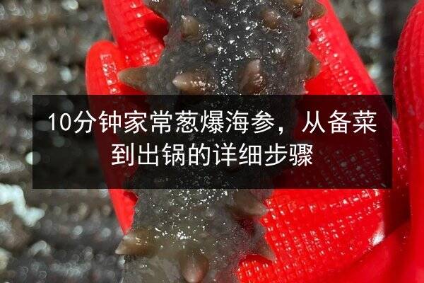 10分钟家常葱爆海参,从备菜到出锅的详细步骤