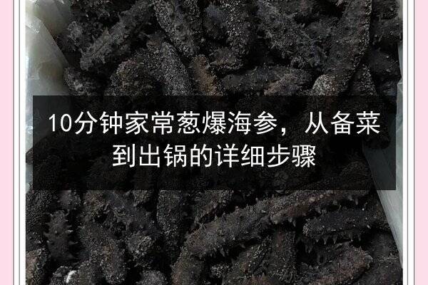 10分钟家常葱爆海参,从备菜到出锅的详细步骤