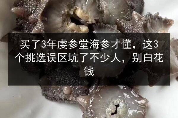 买了3年虔参堂海参才懂,这3个挑选误区坑了不少人,别白花钱