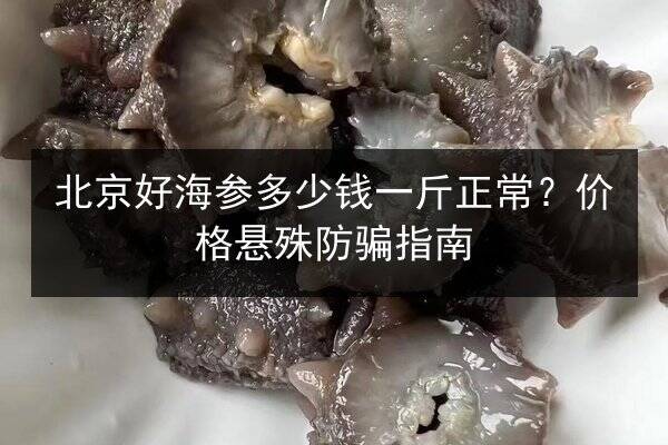 北京好海参多少钱一斤正常?价格悬殊防骗指南