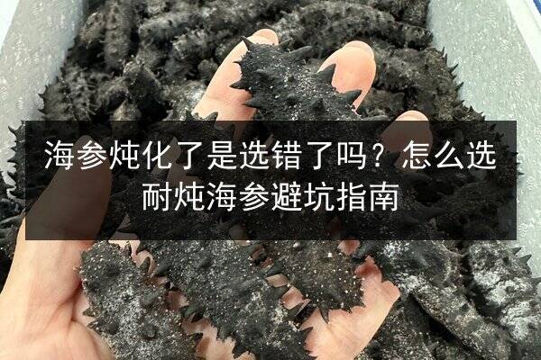 海参炖化了是选错了吗?怎么选耐炖海参避坑指南