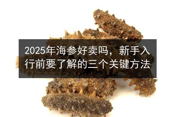 2025年海参好卖吗，新手入行前要了解的三个关键方法