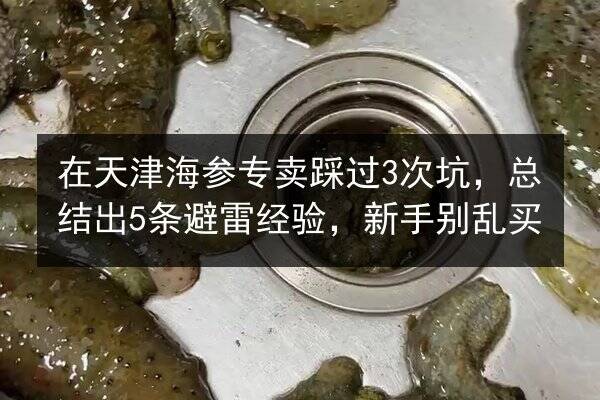 在天津海参专卖踩过3次坑，总结出5条避雷经验，新手别乱买