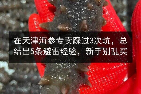 在天津海参专卖踩过3次坑，总结出5条避雷经验，新手别乱买