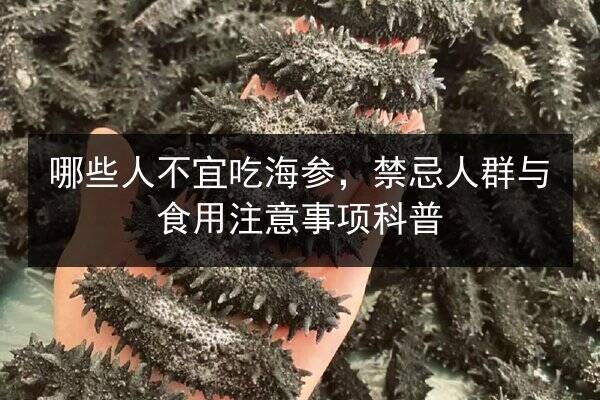 哪些人不宜吃海参,禁忌人群与食用注意事项科普