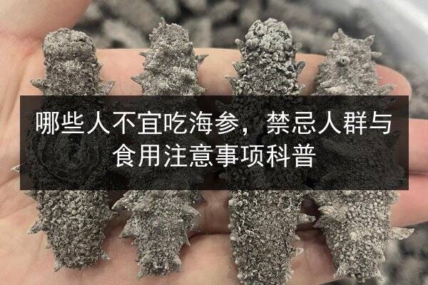 哪些人不宜吃海参,禁忌人群与食用注意事项科普