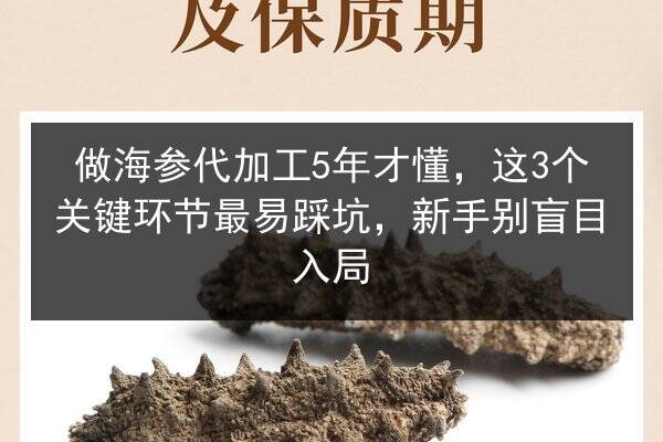 做海参代加工5年才懂,这3个关键环节最易踩坑,新手别盲目入局