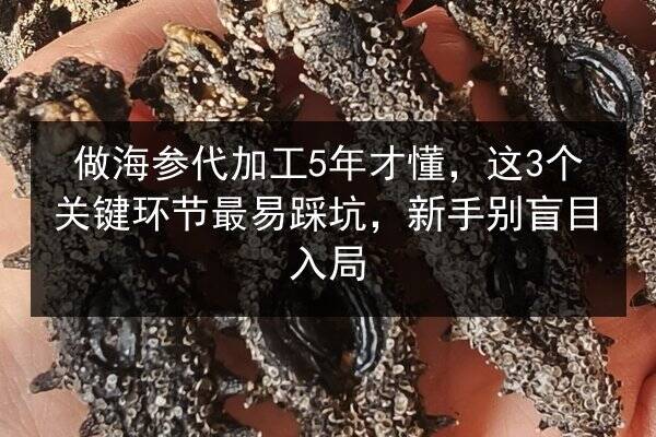 做海参代加工5年才懂,这3个关键环节最易踩坑,新手别盲目入局