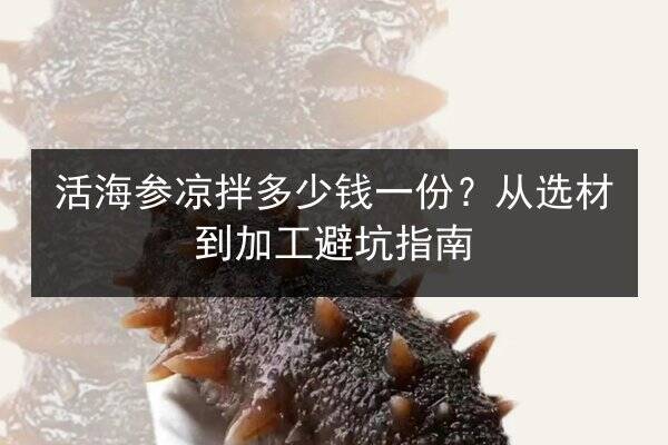 活海参凉拌多少钱一份?从选材到加工避坑指南