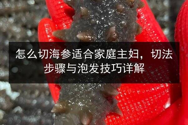 怎么切海参适合家庭主妇,切法步骤与泡发技巧详解