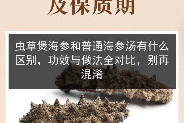 虫草煲海参和普通海参汤有什么区别,功效与做法全对比,别再混淆