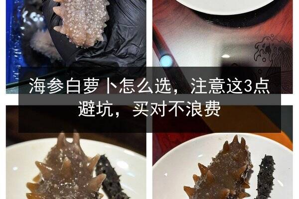 海参白萝卜怎么选,注意这3点避坑,买对不浪费