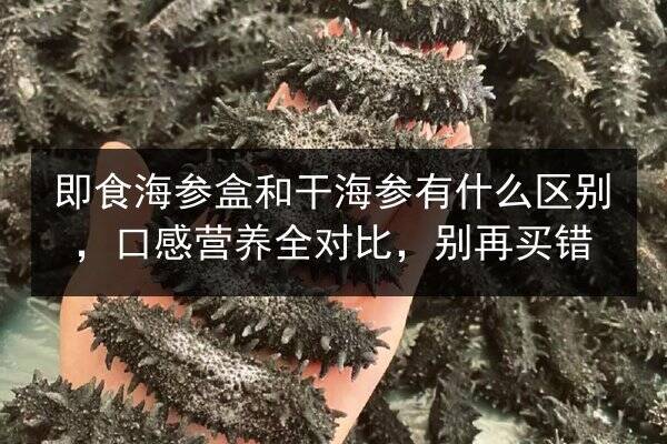 即食海参盒和干海参有什么区别,口感营养全对比,别再买错
