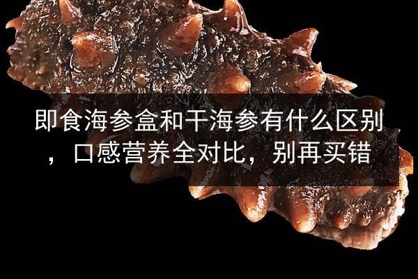 即食海参盒和干海参有什么区别,口感营养全对比,别再买错