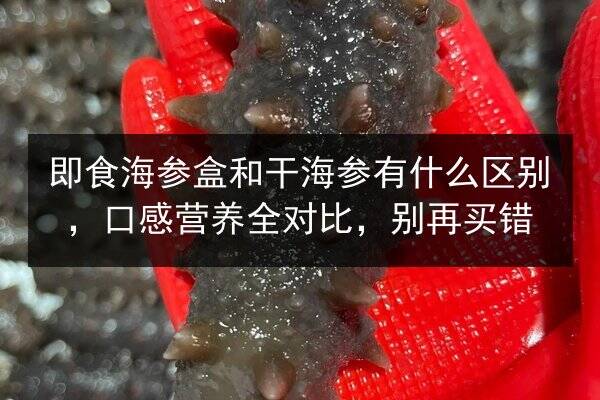 即食海参盒和干海参有什么区别,口感营养全对比,别再买错