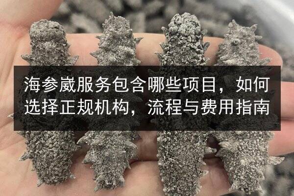 海参崴服务包含哪些项目，如何选择正规机构，流程与费用指南