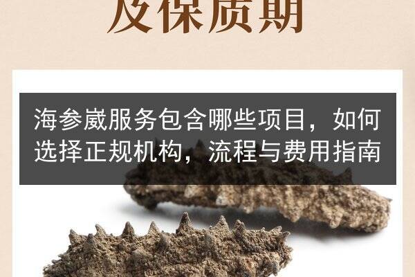 海参崴服务包含哪些项目，如何选择正规机构，流程与费用指南