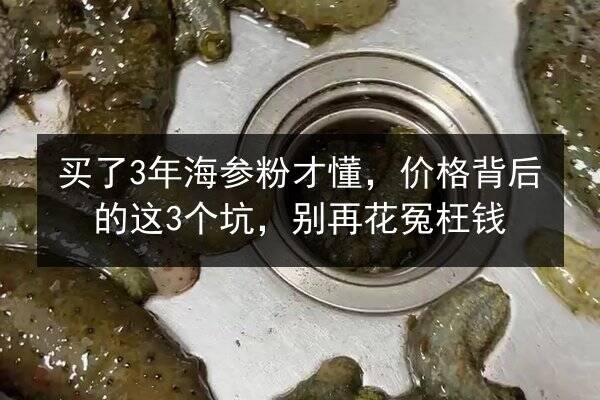 买了3年海参粉才懂,价格背后的这3个坑,别再花冤枉钱