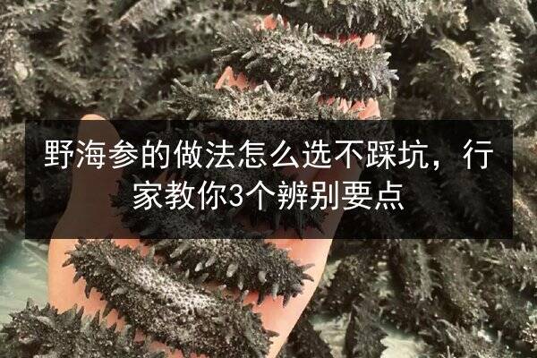 野海参的做法怎么选不踩坑，行家教你3个辨别要点
