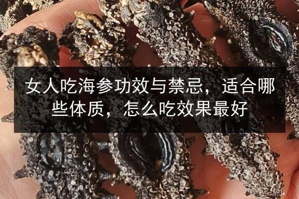 女人吃海参功效与禁忌,适合哪些体质,怎么吃效果最好