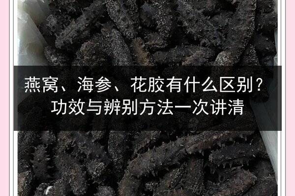 燕窝、海参、花胶有什么区别?功效与辨别方法一次讲清