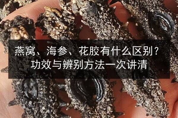 燕窝、海参、花胶有什么区别?功效与辨别方法一次讲清