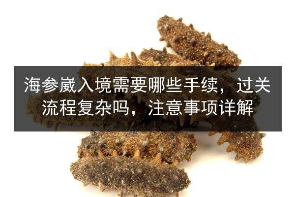 海参崴入境需要哪些手续,过关流程复杂吗,注意事项详解