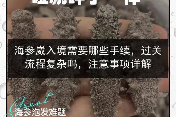 海参崴入境需要哪些手续,过关流程复杂吗,注意事项详解