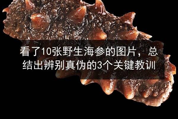看了10张野生海参的图片，总结出辨别真伪的3个关键教训
