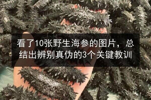 看了10张野生海参的图片，总结出辨别真伪的3个关键教训
