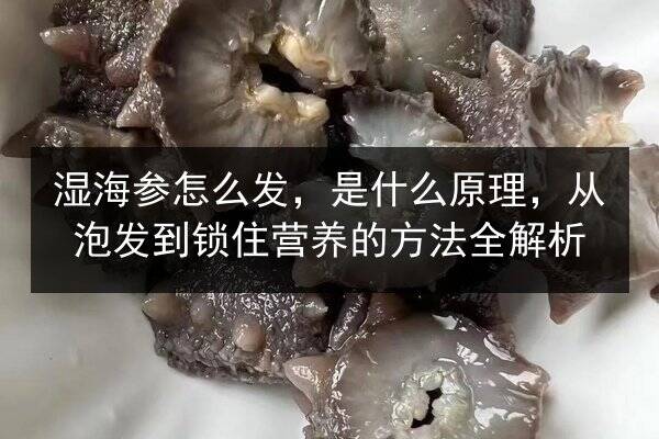 湿海参怎么发,是什么原理,从泡发到锁住营养的方法全解析