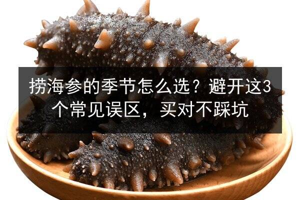 捞海参的季节怎么选？避开这3个常见误区，买对不踩坑