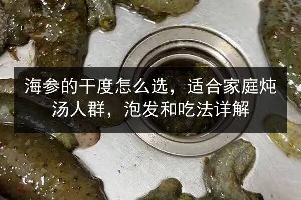 海参的干度怎么选，适合家庭炖汤人群，泡发和吃法详解