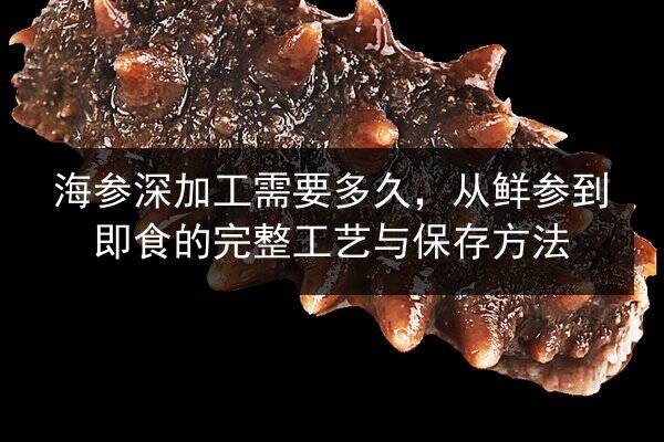 海参深加工需要多久,从鲜参到即食的完整工艺与保存方法