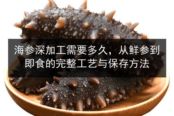 海参深加工需要多久,从鲜参到即食的完整工艺与保存方法