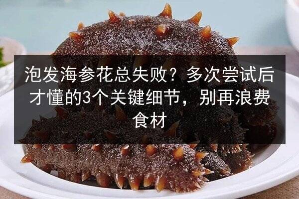泡发海参花总失败?多次尝试后才懂的3个关键细节,别再浪费食材