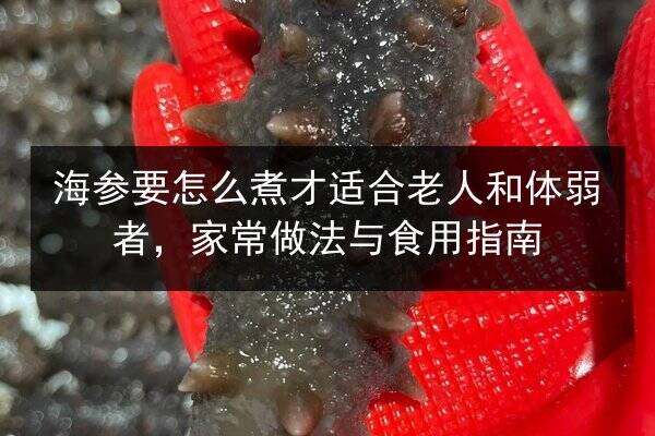 海参要怎么煮才适合老人和体弱者,家常做法与食用指南