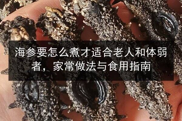 海参要怎么煮才适合老人和体弱者,家常做法与食用指南