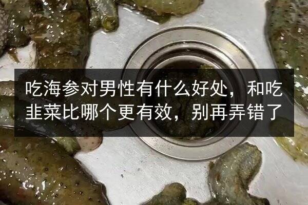 吃海参对男性有什么好处,和吃韭菜比哪个更有效,别再弄错了