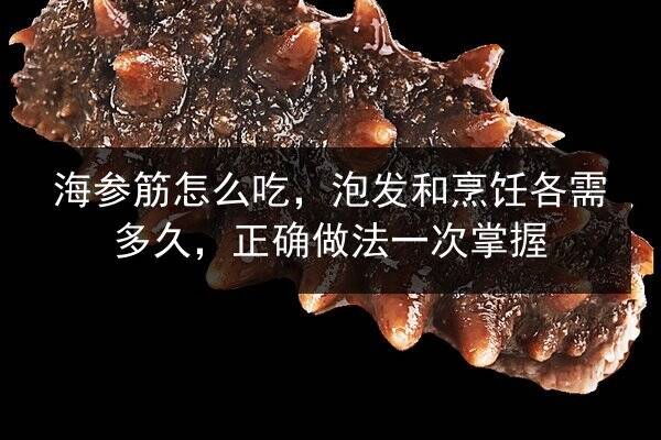 海参筋怎么吃,泡发和烹饪各需多久,正确做法一次掌握